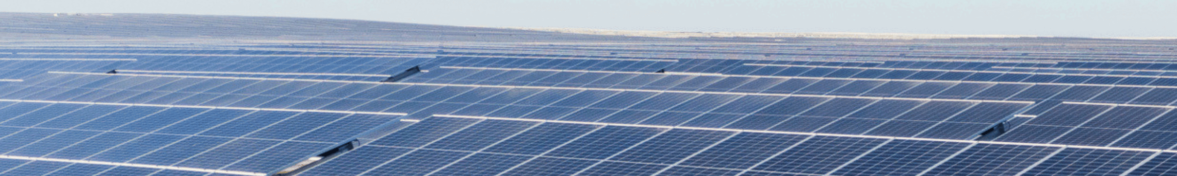 Paneles solares