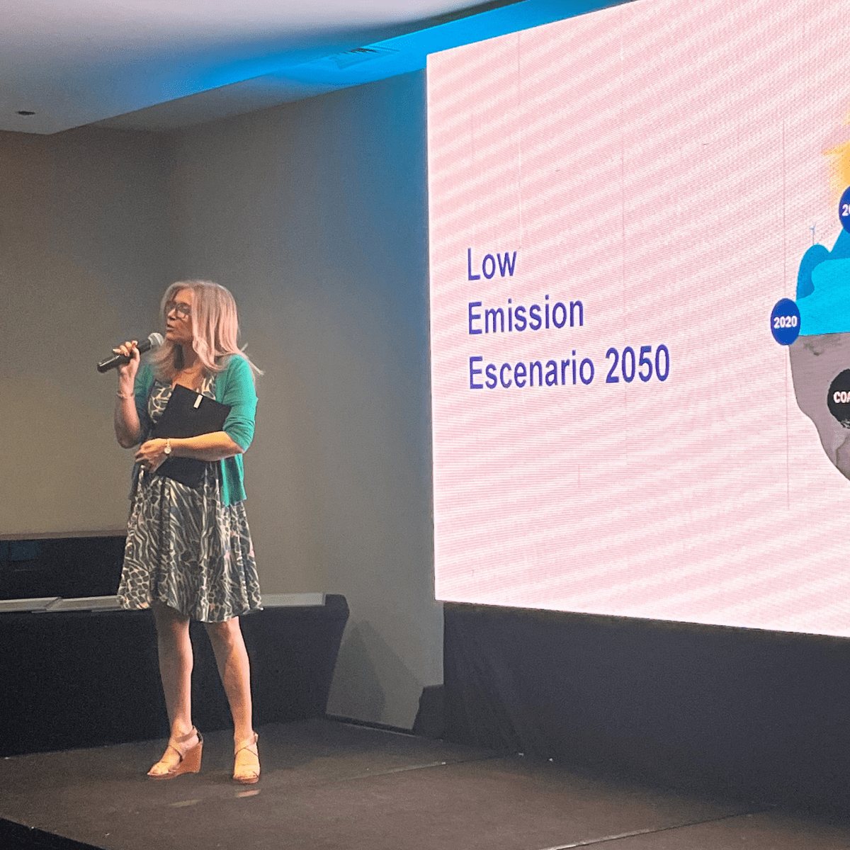 María Teresa gonzalez exponiendo sobre el informe Low Emission Scenario