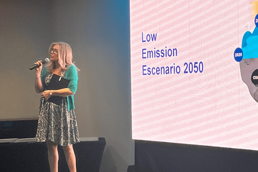 María Teresa gonzalez exponiendo sobre el informe Low Emission Scenario