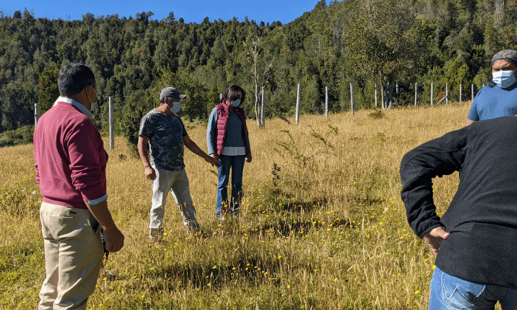 Newsletter 8 - Reforestación Participativa.png