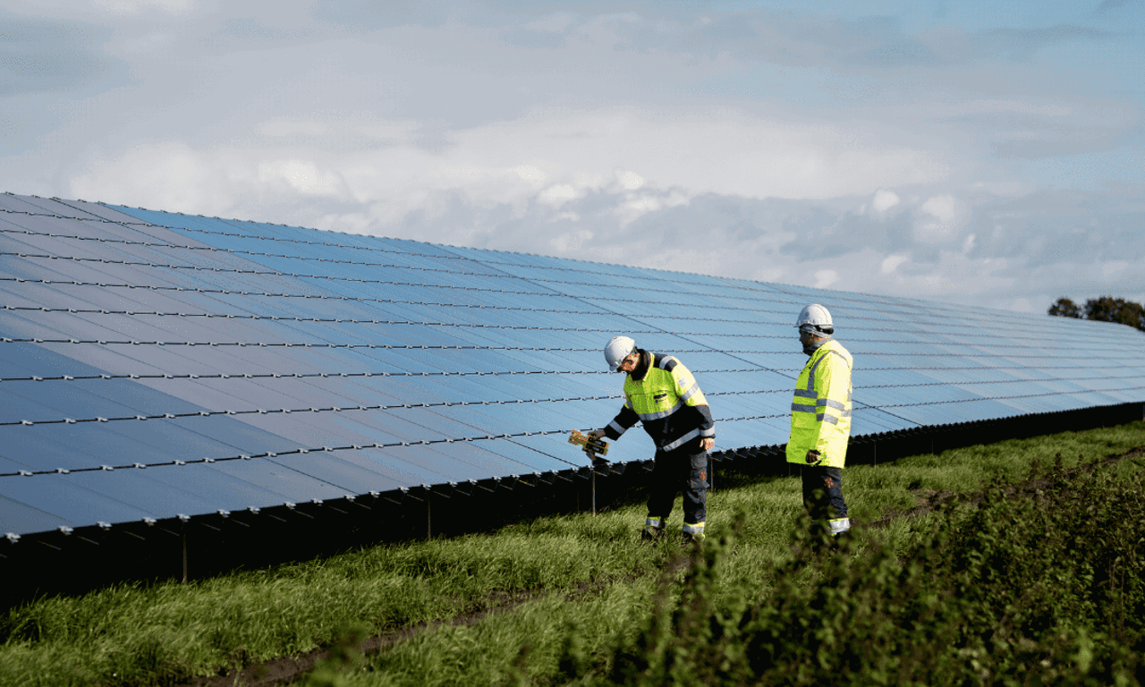 Técnicos revisando paneles solares