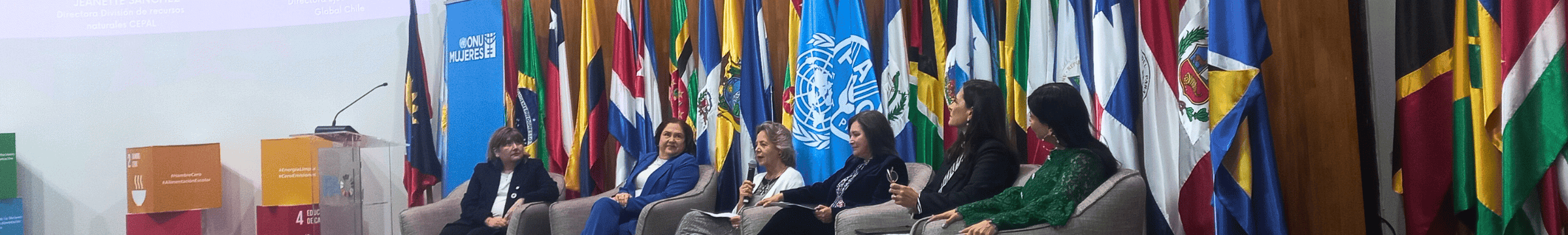 panel de conversación en ONU mujeres