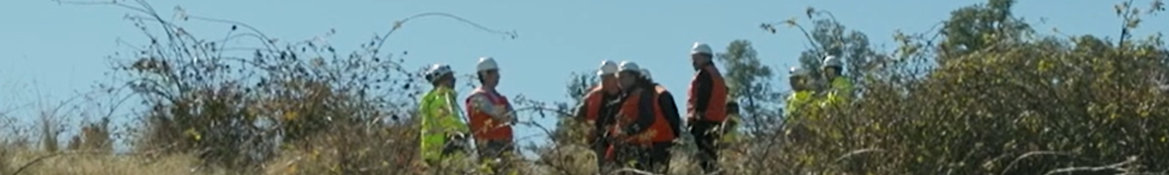 Equipo trabajando en terreno