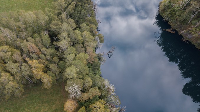 Vista aérea rio y vegetación de Rio Pilmaikén