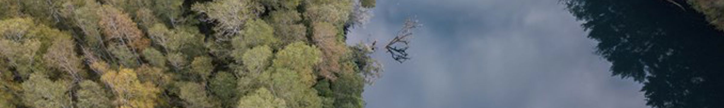 Vista aérea rio y vegetación de Rio Pilmaikén